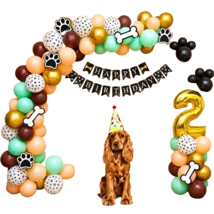 Pet Decoration