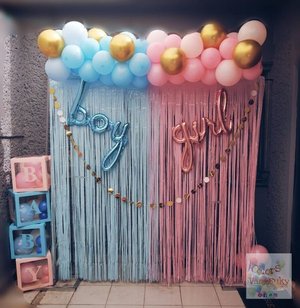 Baby Shower Theme Girl & Boy
