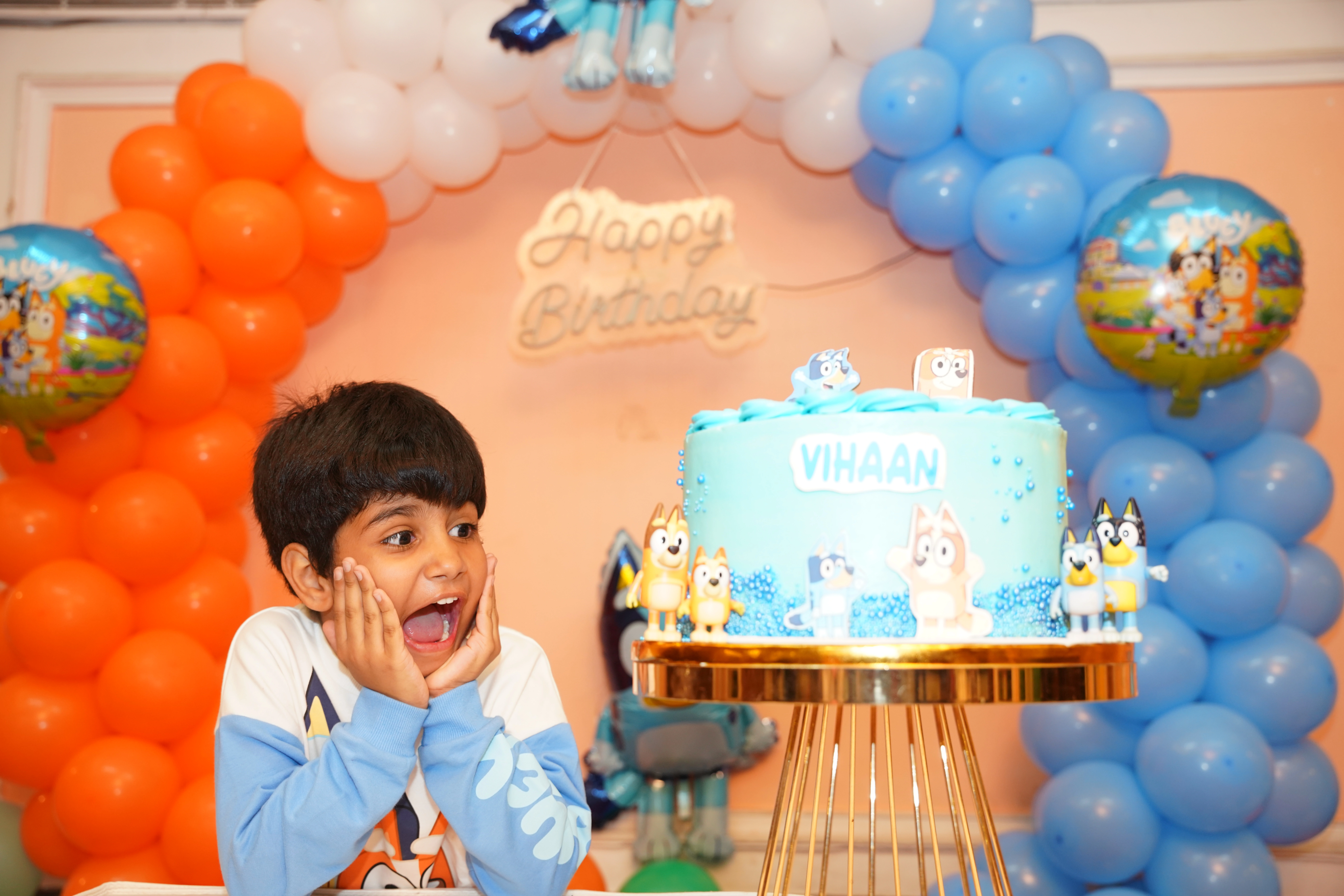 Birthday Pro Photography + Traditional Teaser